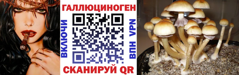 Галлюциногенные грибы GOLDEN TEACHER  что такое наркотик  Почеп 