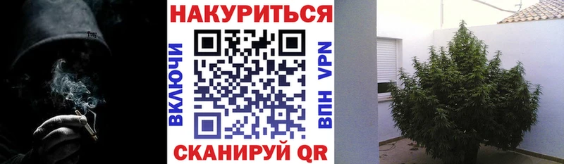 Конопля Ganja Почеп